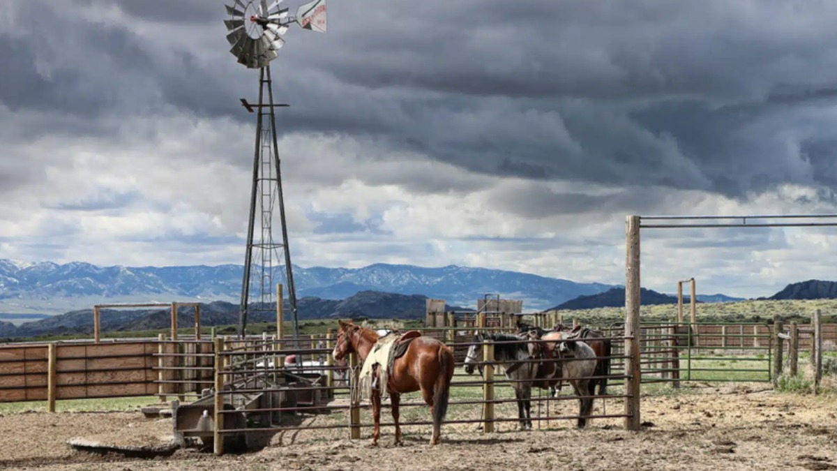 Pathfinder Ranches possui uma área rural de 916.076 hectares, extensão superior à do município de São Paulo. / Divulgação