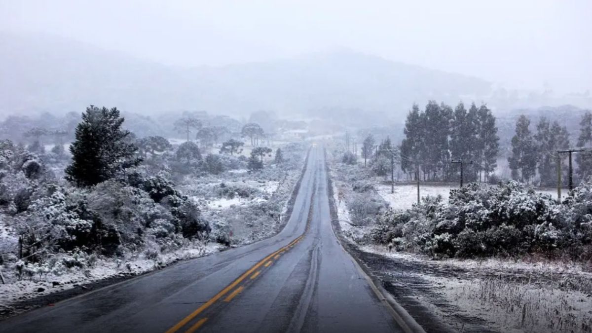 Quando o branco da neve molda a serra catarinense: a magia de um Brasil gelado - Foto/Reprodução