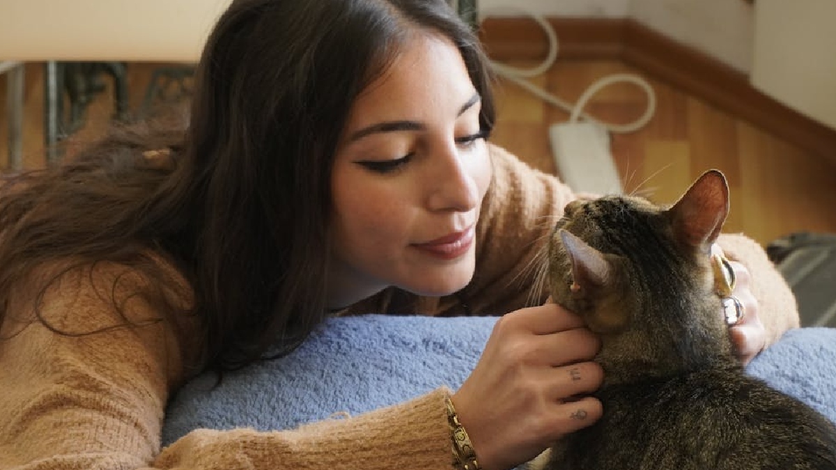 As interações constantes entre tutor e pet também contribuem para uma aproximação e fortalecimento do vínculo, podendo ser determinante para que o indivíduo se torne a pessoa preferida do felino - (Martin.que/Pexels)