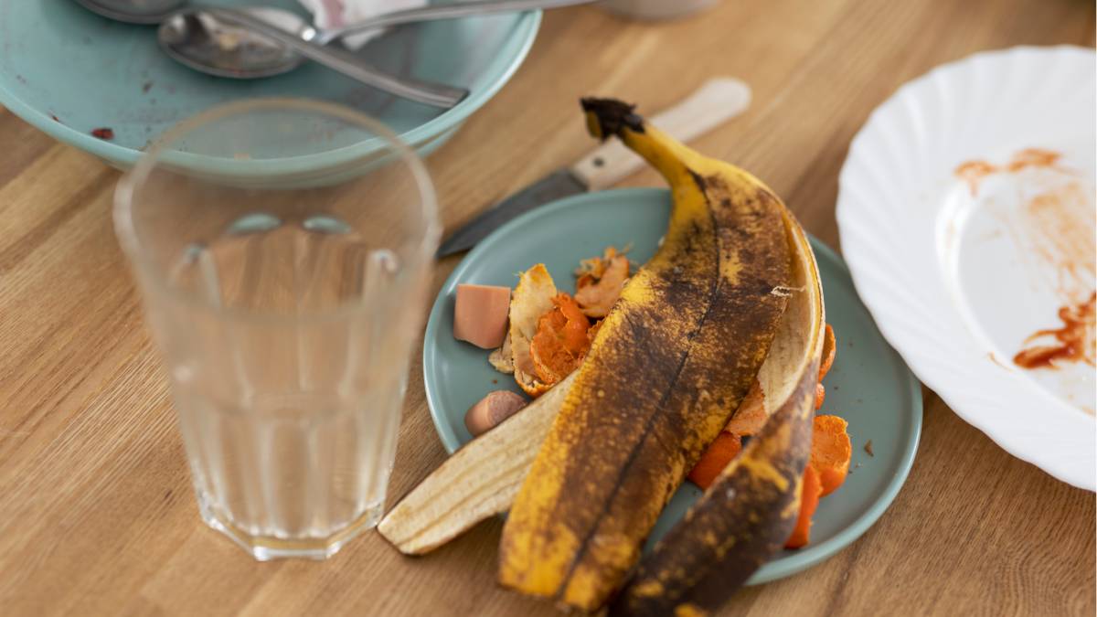 Elas procuram umidade e alimento e só permanecem em locais que oferecem essas condições de forma constante (Fotos: Freepik)