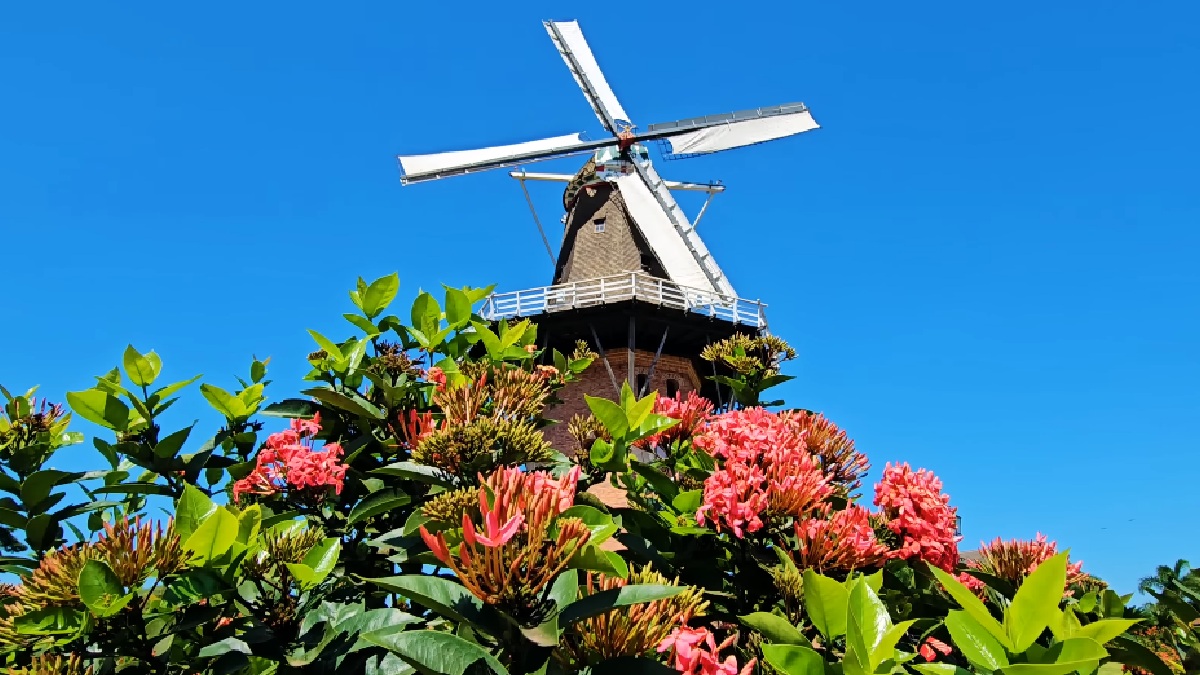 A cidade é uma potência na economia, com o município respondendo por 40% da produção nacional de flores e 80% das exportações do setor na América Latina