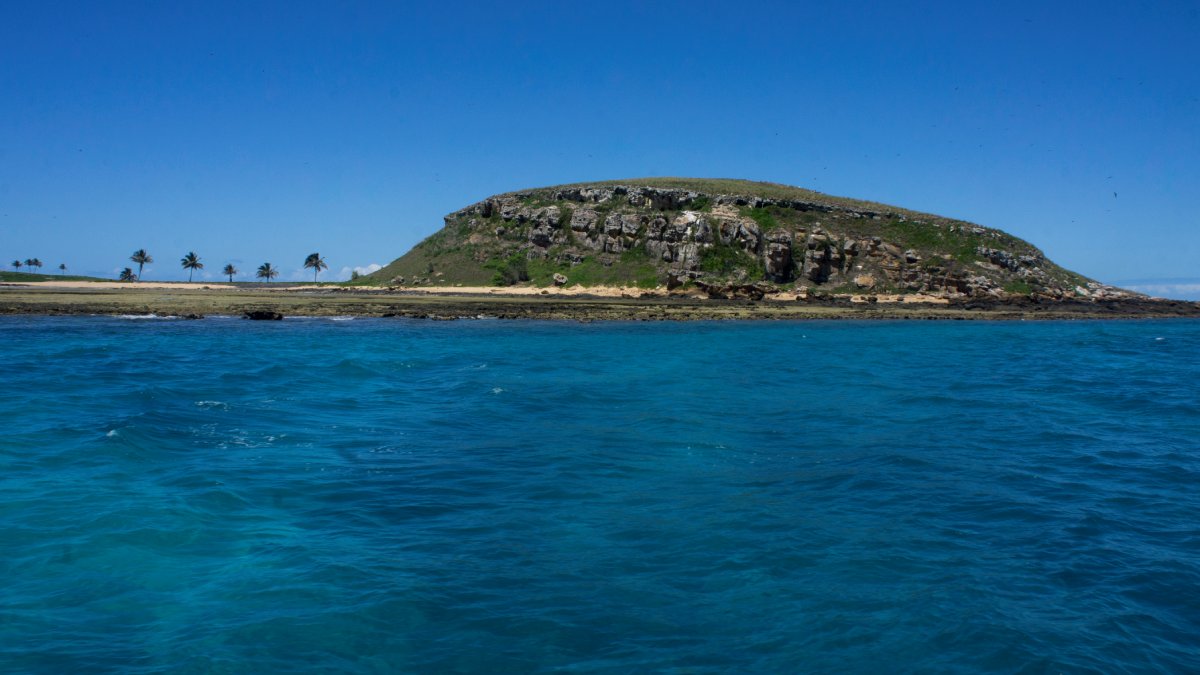 5- Abrólhos, na Bahia (Foto: Munique Bassoli/Wikimedia Commons)