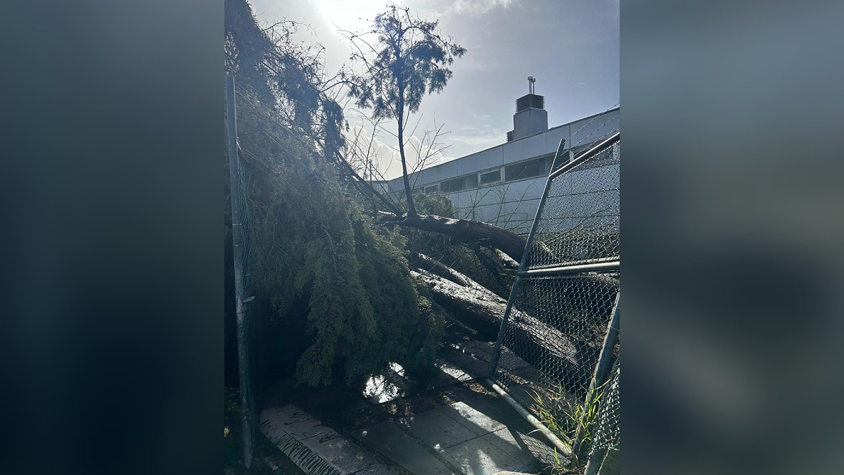 Cantina universitária do Polo Esportivo da Universidade de Coimbra teve entrada destruída