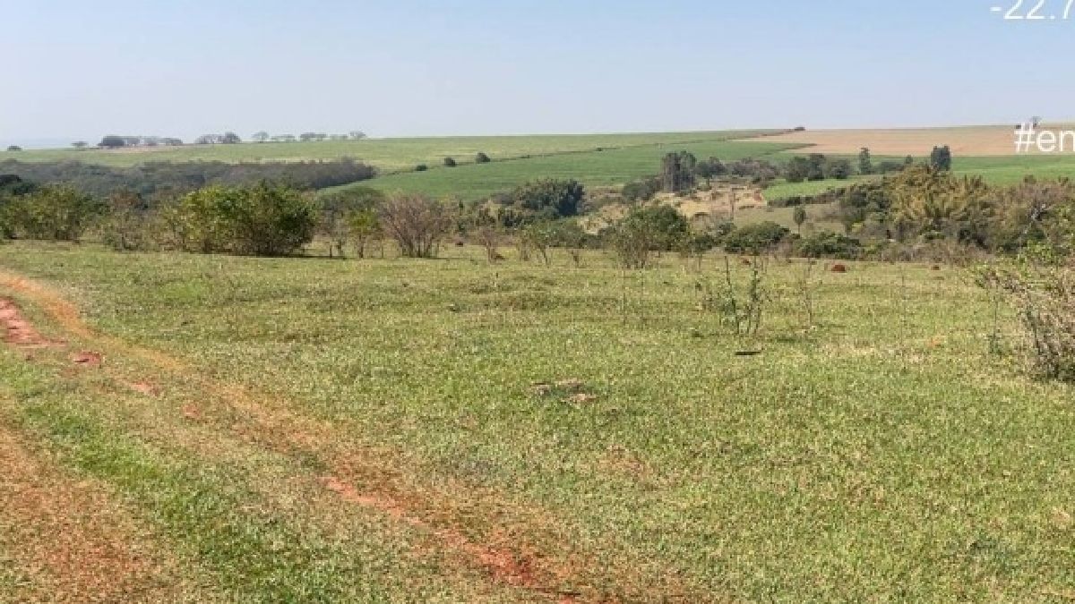 O estudo técnico considera ainda que aproximadamente 80% da área da propriedade é passível de exploração agropecuária
