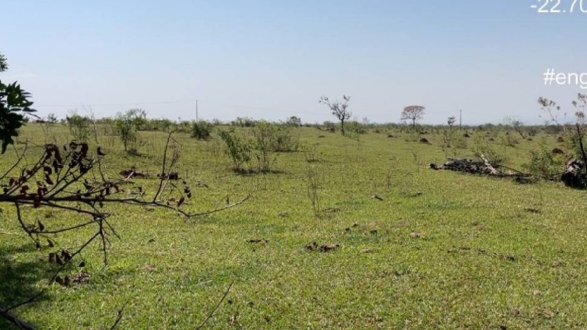 O estudo técnico considera ainda que aproximadamente 80% da área da propriedade é passível de exploração agropecuária