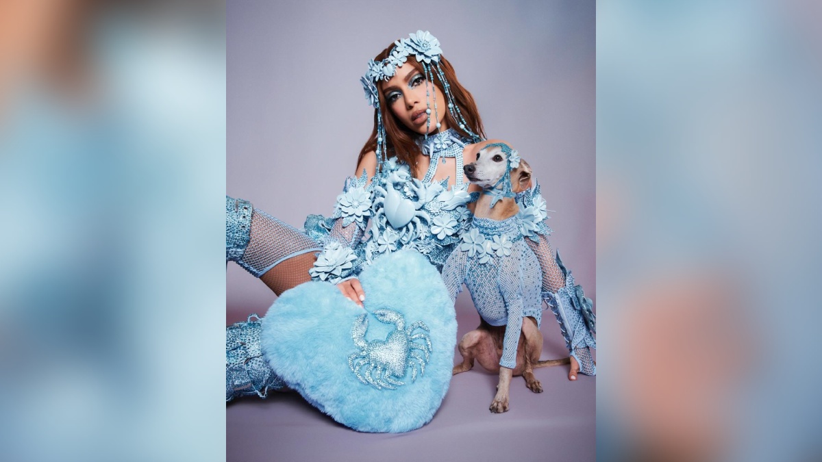 Próxima parade de Anitta é em Ribeirão Preto, em 31 de janeiro. Fotos: Reprodução/Instagram