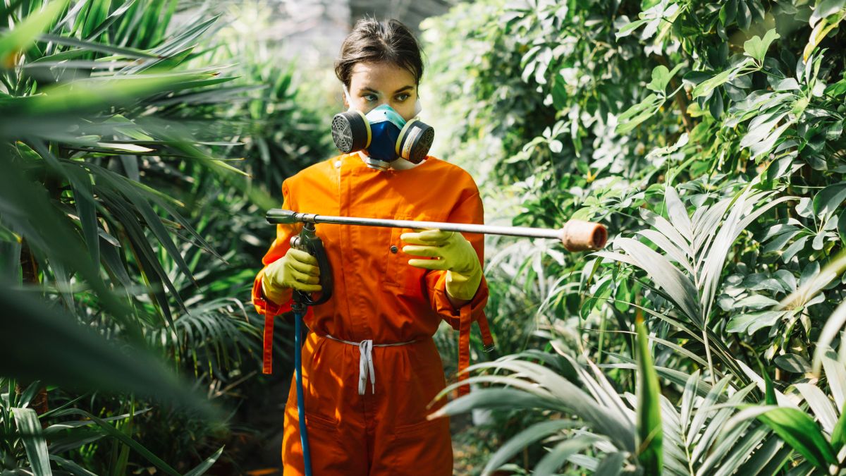 Apesar de demonizados, os defensivos agrícolas são essenciais para controle de pragas, quando utilizados de forma consciente