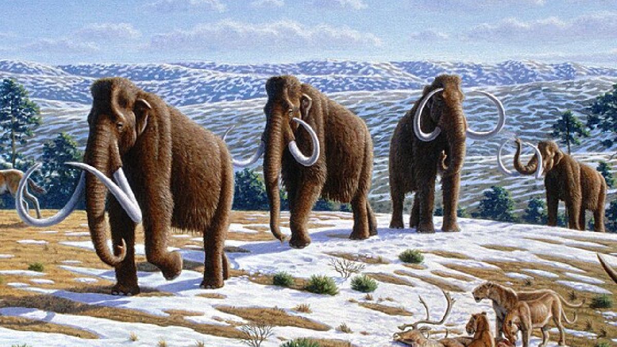 Mamutes-lanosos eram uma espécie muito comum no Alasca da Mega Fauna (Foto: Mauricio Antón / Wikimedia Commons)