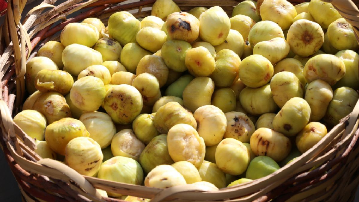 O fruto dessa relação são novas gerações de figos, apesar de apenas as variações silvestres e algumas orgânicas da planta (Foto: Pexels)