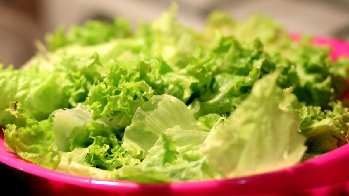 Consumir verduras folhosas nas refeições adicionam fibras que ajudam na saciedade e diversos outros micronutrientes