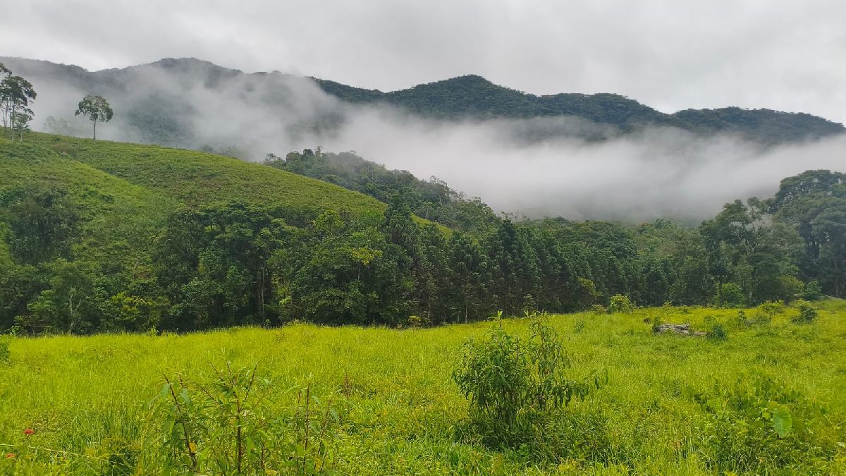 Localizado no trecho mineiro da Serra do Mar, local é banhado pela tradicional neblina da região em dias frios