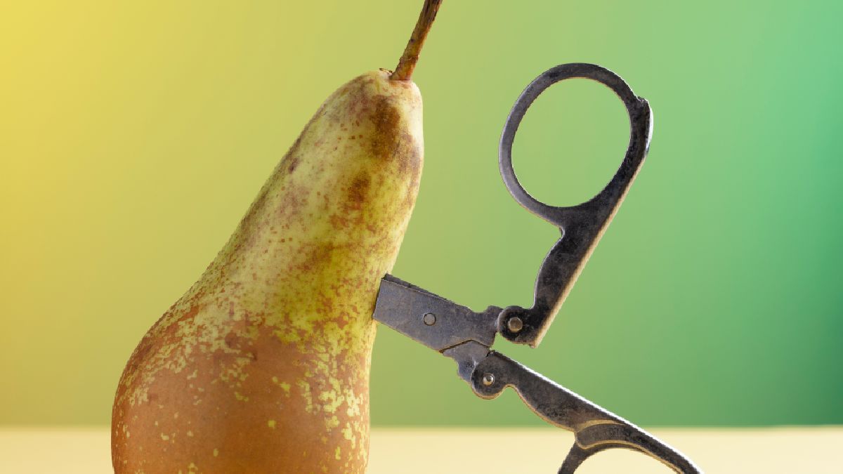 Sem excessos, eles garantem a produção de safras seguras (Imagens: Freepik)