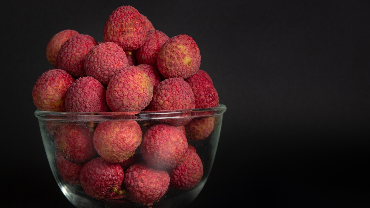 Com calor e mais chuvas, a planta enraíza melhor e emite novas folhas com mais facilidade. Foto: Freepik