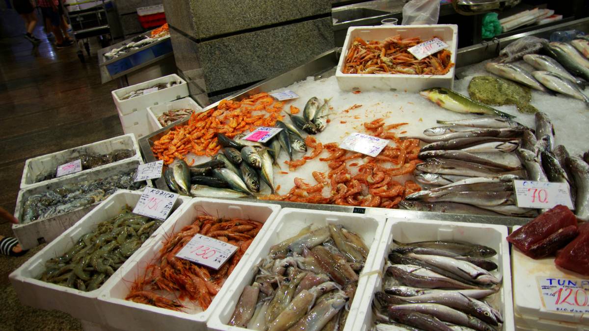 Assim, identificaram Gambierdiscus australes, dinoflagelado marinho produtor de toxinas. Abundâncias variaram de 20 a 140 células por litro.