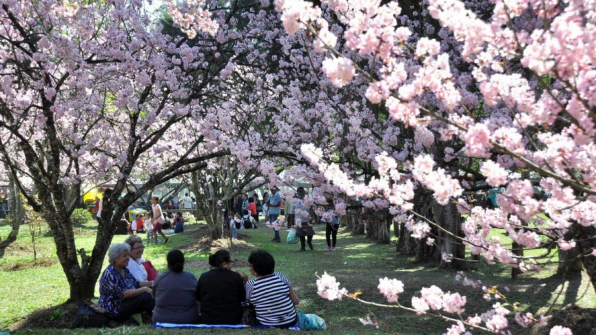 Parque do Carmo