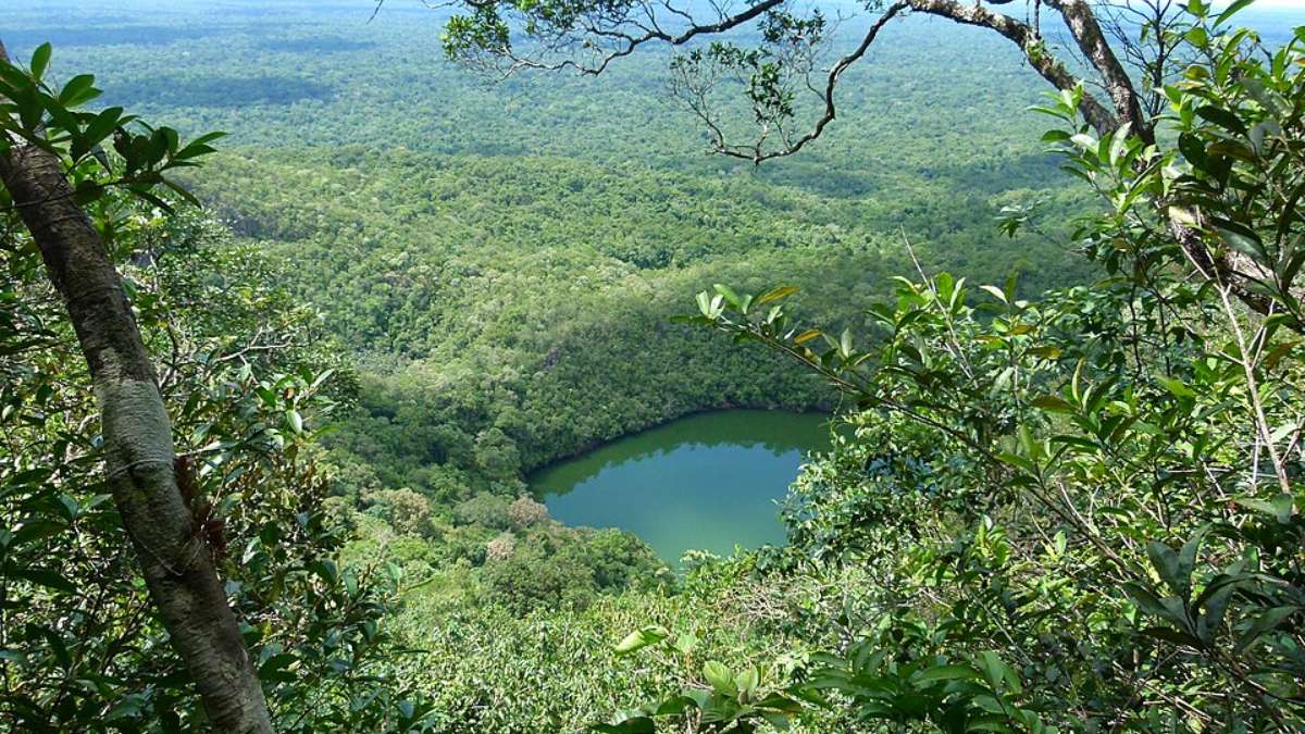 Essa montanha de quase 3 mil metros de altura fica na Serra do Imeri, no estado do Amazonas, dentro do Parque Nacional do Pico da Neblina (Foto: Cesar Augusto Chirosa Horie/Wikimedia Commons)