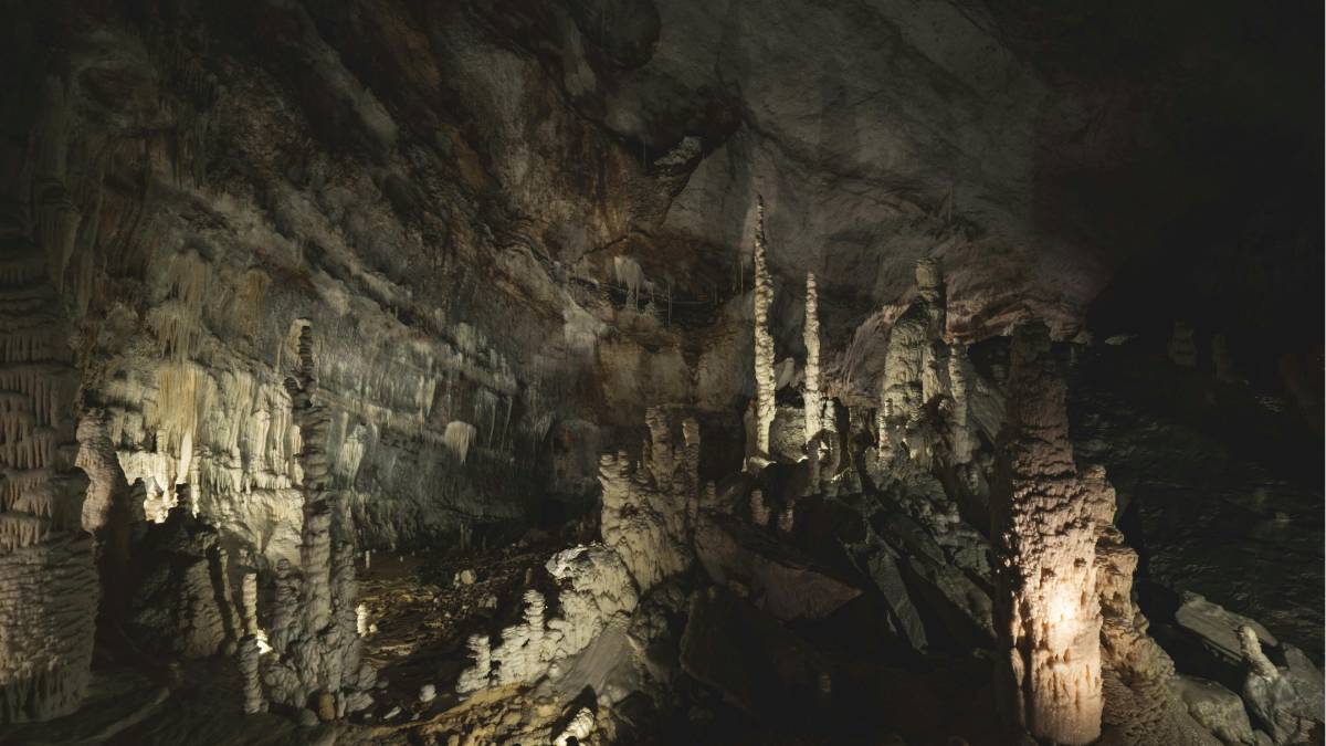 Pesquisadores encontraram, no interior de uma caverna remota no norte da Arábia Saudita, uma coleção rara de animais mumificados em surpreendente estado de preservação