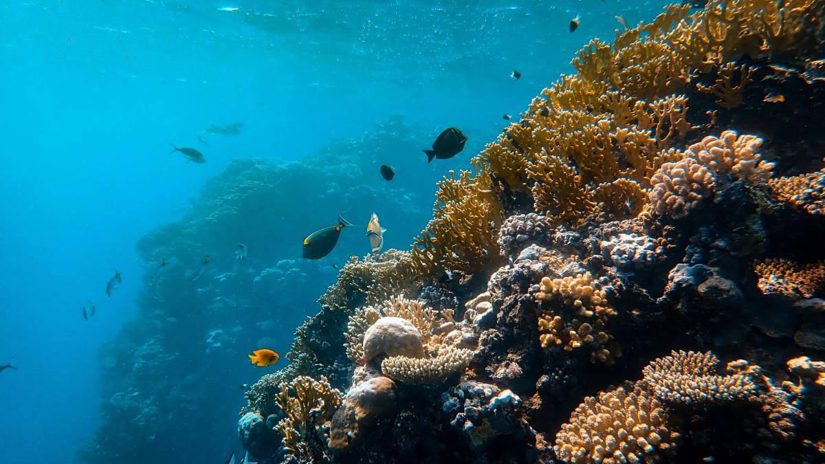 A mineração no fundo dos oceanos tem sido apresentada por empresas e governos como alternativa para atender a demanda por metais usados em tecnologias modernas