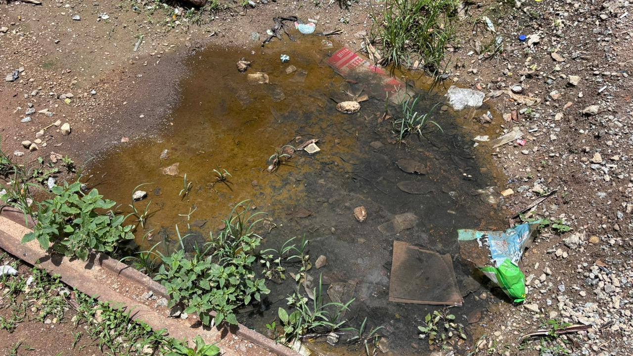 Área arqueológica ainda sem proteção adequada para visitas e estudos /Crédito: Jonatas Oliveira