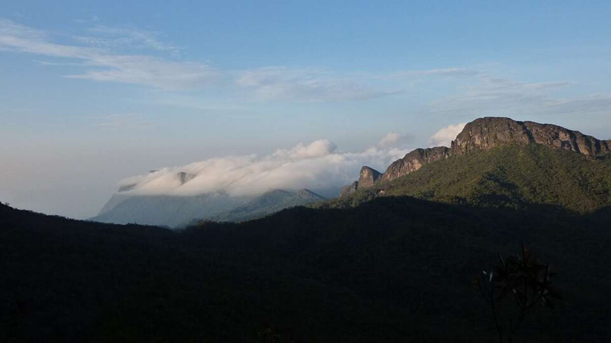 O Pico da Neblina é um dos destinos naturais mais preservados da Amazônia e convida os visitantes a explorar florestas intocadas e biodiversidade única (Fotos: Michellblind/Wikimedia Commons)