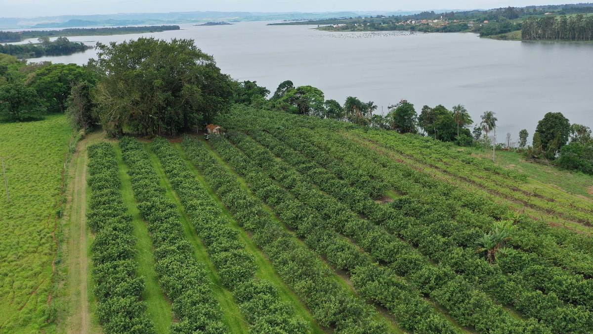 Maior parte da produção vem de agricultores familiares e pequenos produtores. Imagem: Gabriel Rosa/AEN
