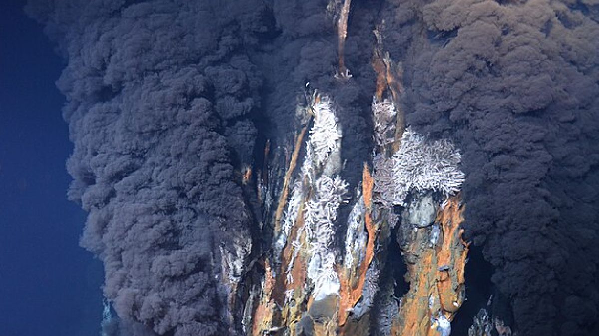O "oxigênio escuro" foi identificado em nódulos-polimetálicos da Zona Clarion-Clipperton, uma vasta planície abissal localizada entre o Havaí e o México