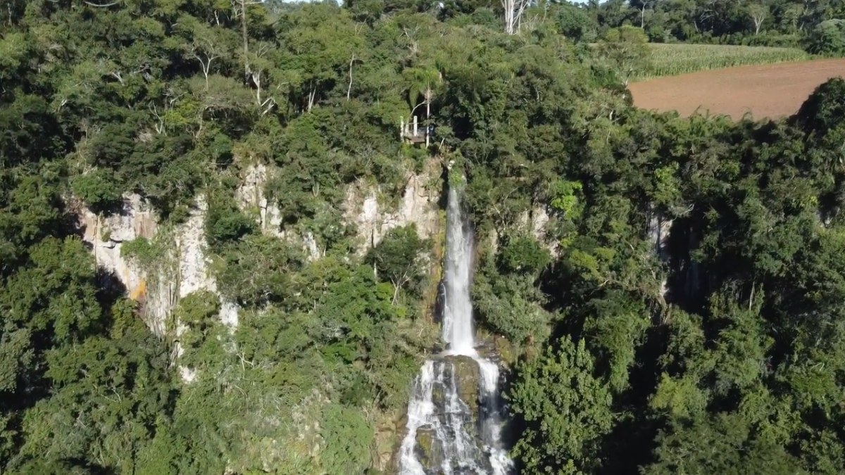5. A língua ucraniana ainda aparece no dia a dia de parte da comunidade, um traço que atravessou gerações e segue influenciando a vida na cidade.