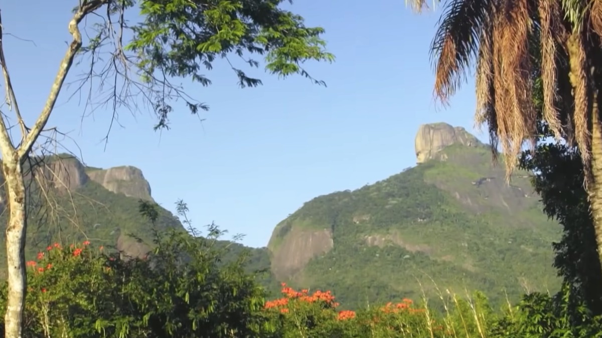 6. O jardim da casa foi planejado para ser uma extensão da floresta nativa. Sônia evitou o uso de produtos químicos, permitindo que a vegetação avançasse de forma natural sobre a construção.