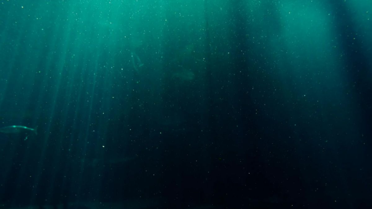 Imagine cruzar oceanos em alta velocidade. Este projeto de engenharia extrema quer transformar o fundo do mar na nova rota principal do turismo global. | Foto: Pexels