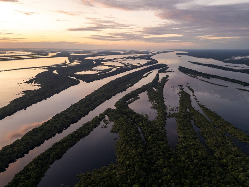 No mesmo mês, o feriado da Consciência Negra favorece uma imersão na Amazônia, com Manaus (AM).