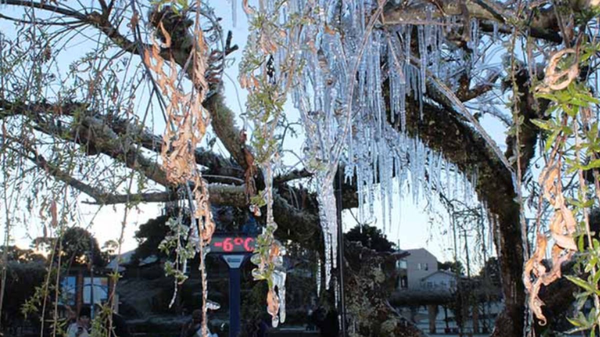 Onde a natureza pausa no tempo: a beleza estática das águas congeladas de Urupema. - Foto/Divulgação