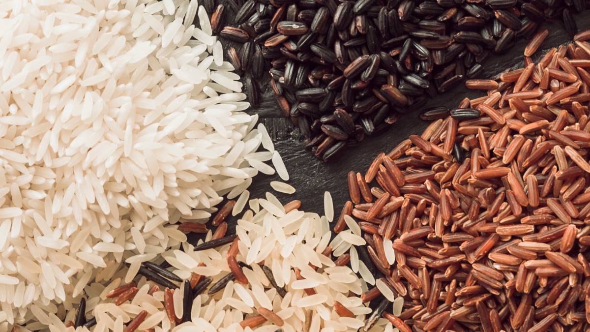A quantidade amido, susbtância responsável por grudar o arroz, varia para cada tipo do grão (Foto: Freepik)