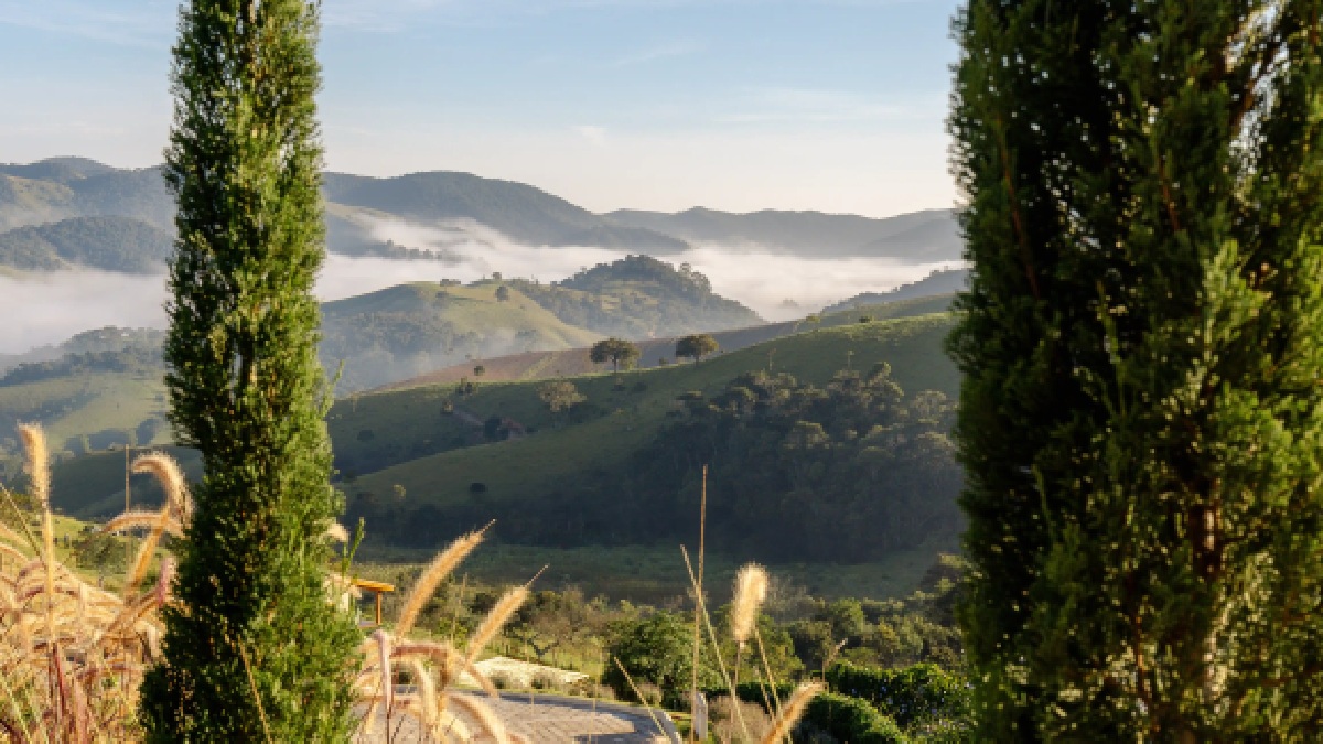 A paisagem silenciosa e exuberante da região foi decisiva para a criação de um projeto que une arte, ancestralidade e natureza - (Divulgação/Manoel Sá)