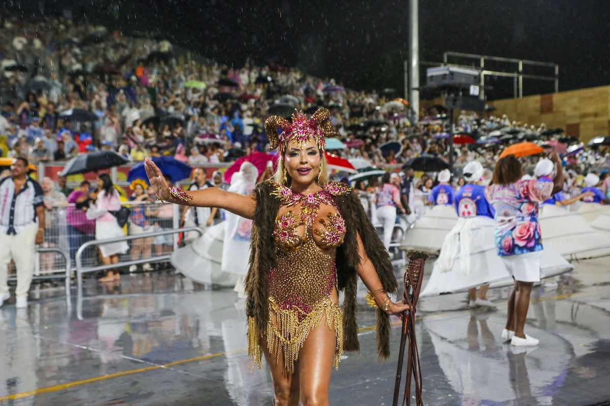 Para 2026, a atual Campeã do Carnaval de São Paulo, Rosas de Ouro, levará o enredo "Escrito nas Estrelas", que abordará o mundo da astrologia.