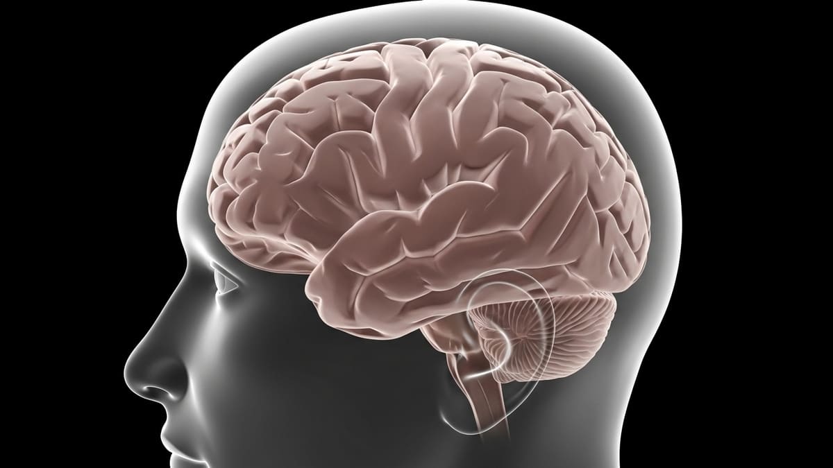 Estudos indicam que lembrar é um processo ativo e sujeito a distorções. Freepik