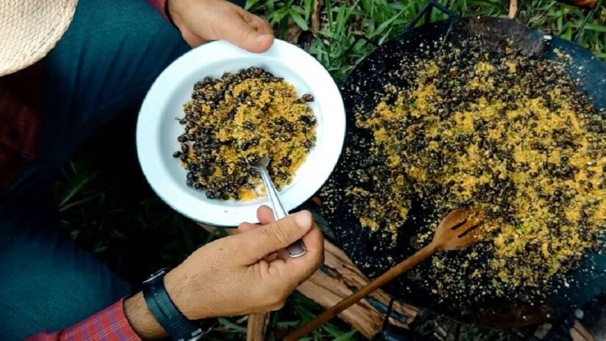 Eventos culturais celebram a identidade gastronômica que tornou o município conhecido - Reprodução/YouTube