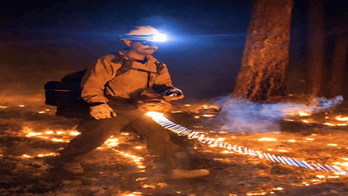 Brigadista realiza queima controlada durante operação de combate a incêndio florestal - Reprodução/YouTube