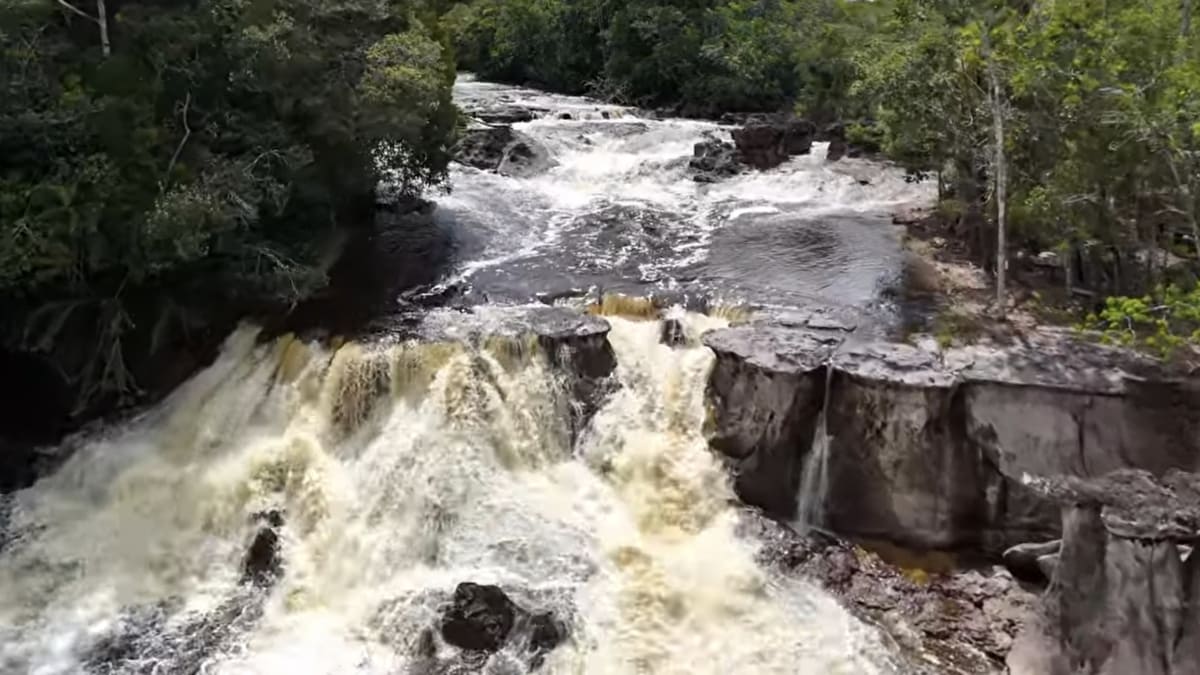 Cenário exuberante revela a força e a beleza da natureza no interior do Amazonas - reprodução/YouTube