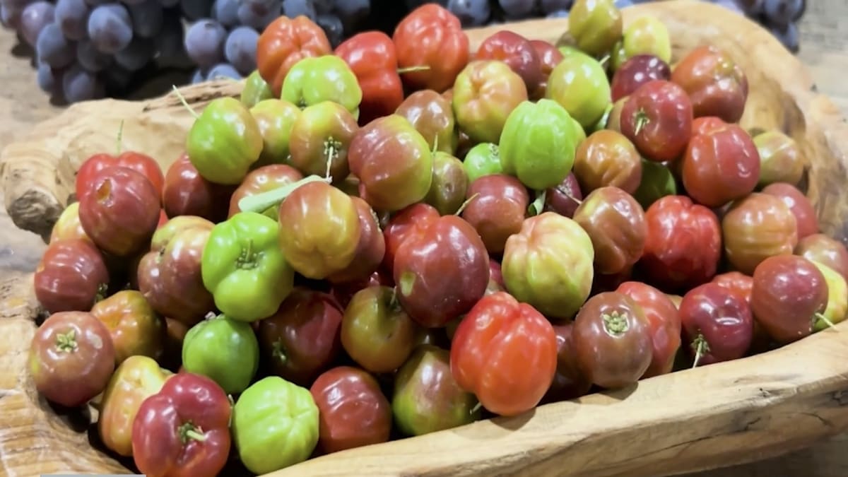 Close na acerola destacando a coloração intensa e o aspecto fresco - Reprodução/YouTube