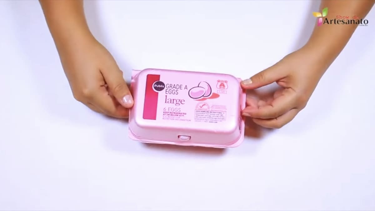 Pequena horta começa com materiais simples que você já tem em casa - Reprodução/YouTube