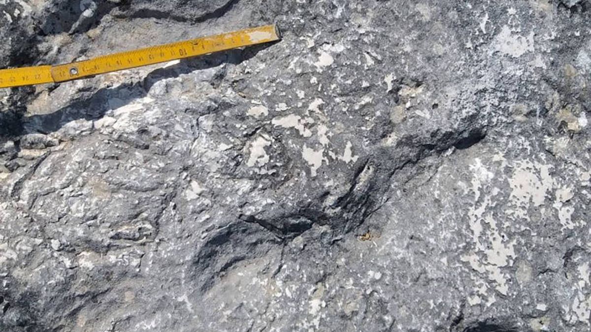 Segundo Montanari, em circunstâncias comuns, tais vestígios teriam sido apagados pelas correntes do mar