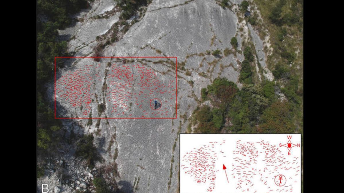 No entanto, o terremoto causou uma avalanche subaquática pouco após as pegadas serem feitas (Fotos: Montanari et al./Cretaceous Research, 2025)