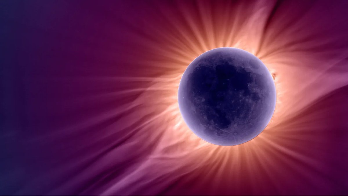 Durante o eclipse solar total de 2024, cientistas observaram como a escuridão repentina altera o comportamento de aves e insetos (Foto: Reprodução/NASA)