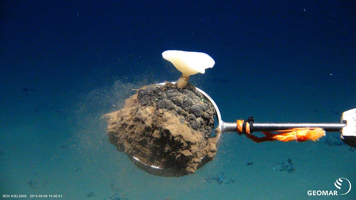 Essa pesquisa estudou as análises obtidas por meio de um teste com máquinas de mineração no fundo do oceano