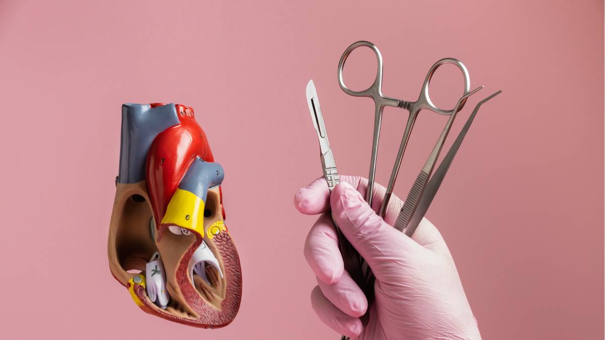 Diante das longas filas de espera e da escassez crônica de doadores, a ciência busca alternativas capazes de salvar milhares de vidas