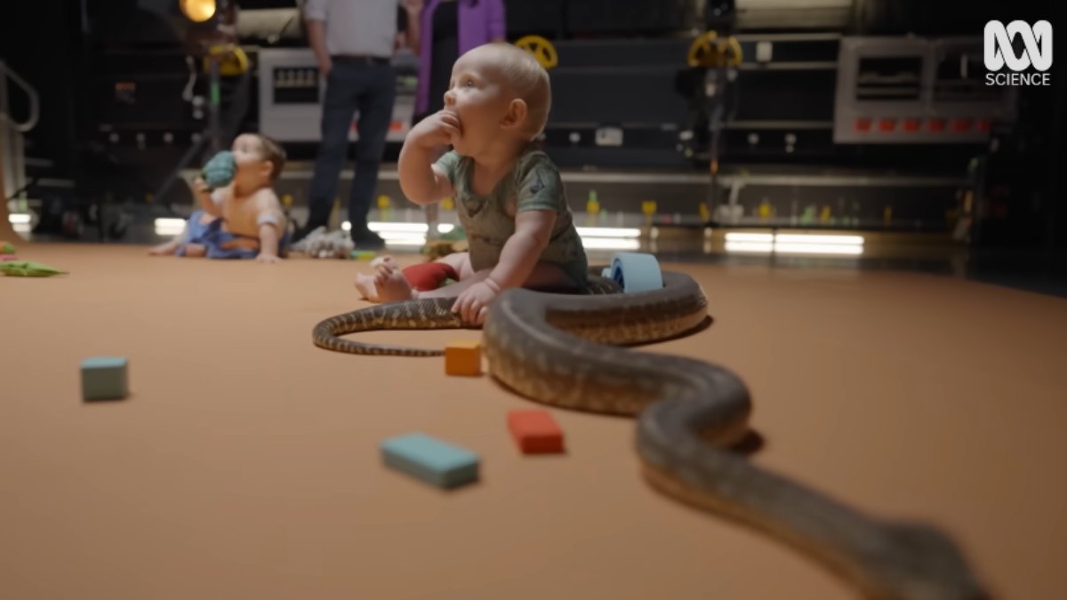 O trecho faz parte de um experimento da Australian Broadcasting Corporation (ABC), para a série documental Secret Science (2024)