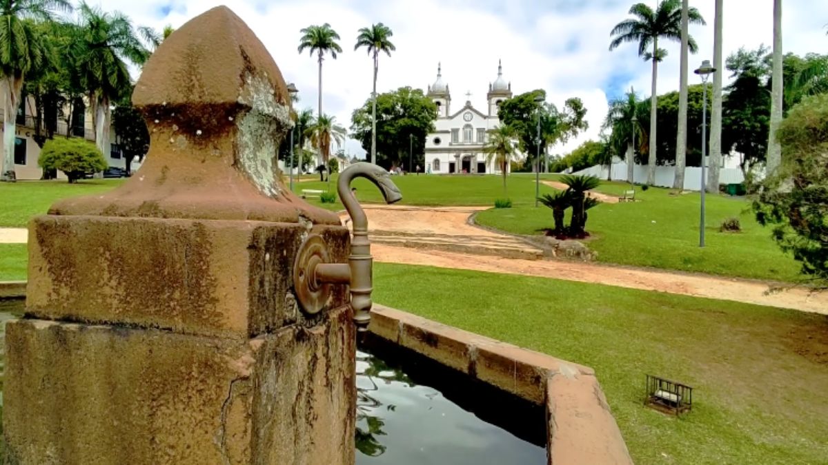 O nome Vassouras vem de um arbusto comum na região, a tupeiçaba, conhecida popularmente como vassourinha