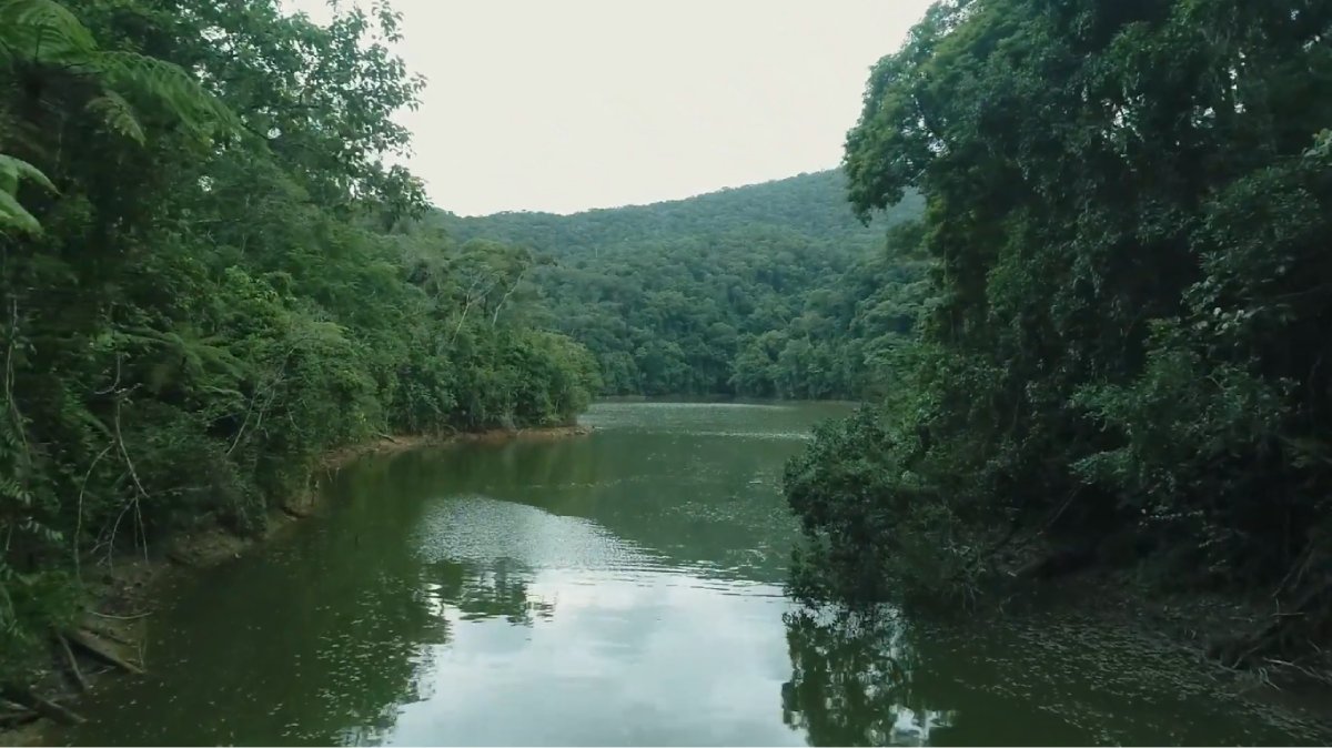 Espalhada por Juquiá, Tapiraí e Miracatu, a reserva reúne biodiversidade, pesquisa científica e turismo sustentável