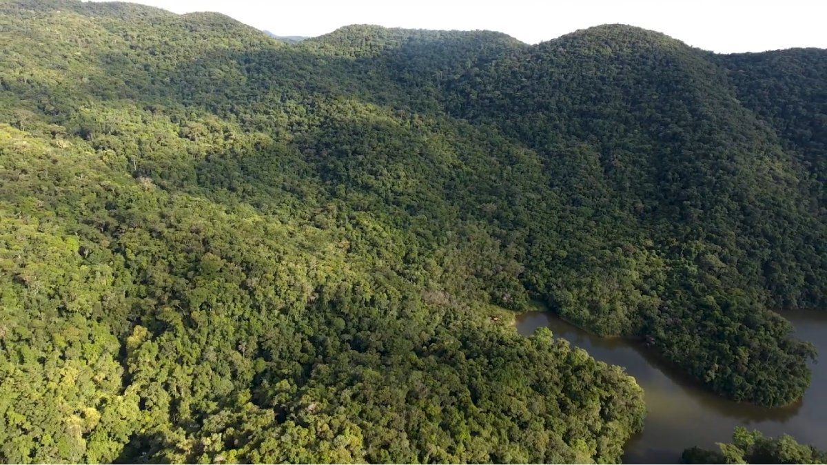 Localizado no Vale do Ribeira, o refúgio abriga rios, cachoeiras e trilhas em meio à floresta preservada