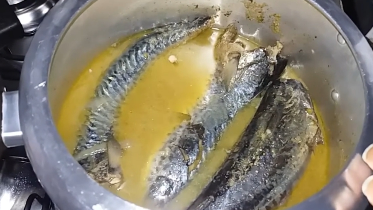 Sua ampla disponibilidade no território brasileiro, tanto fresca quanto congelada, permite que as famílias mantenham uma dieta equilibrada sem elevar o orçamento doméstico. - (Fotos: Reprodução/YouTube)